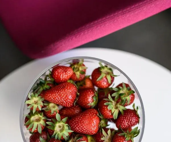 Vendégház Ora Luxury